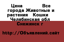 Zolton › Цена ­ 30 000 - Все города Животные и растения » Кошки   . Челябинская обл.,Снежинск г.